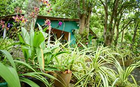 Palitha Homestay