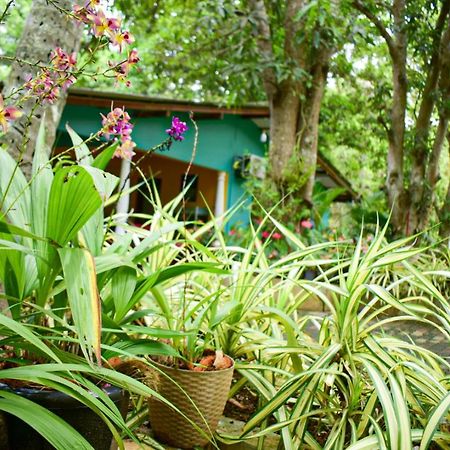 Palitha Homestay Sigiriya Buitenkant foto