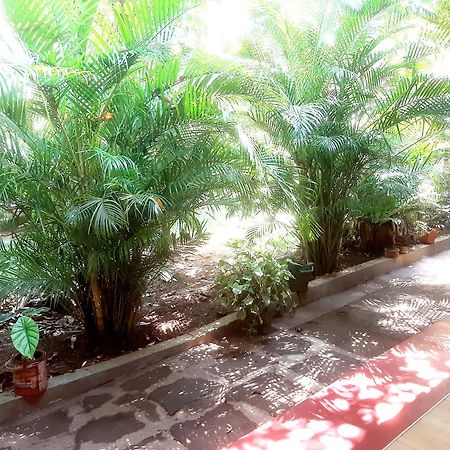 Palitha Homestay Sigiriya Buitenkant foto