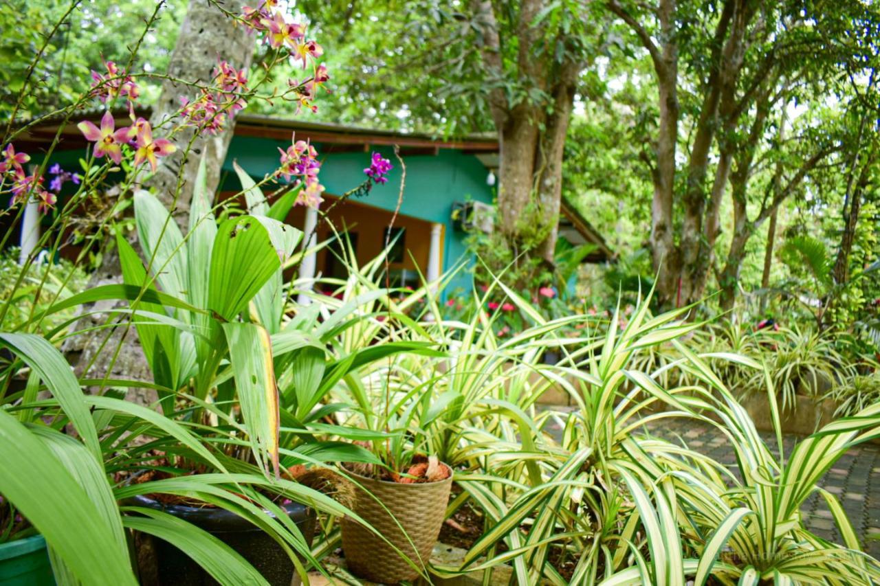 Palitha Homestay Sigiriya Buitenkant foto