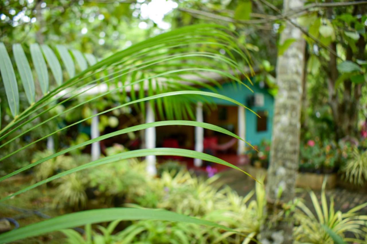 Palitha Homestay Sigiriya Buitenkant foto