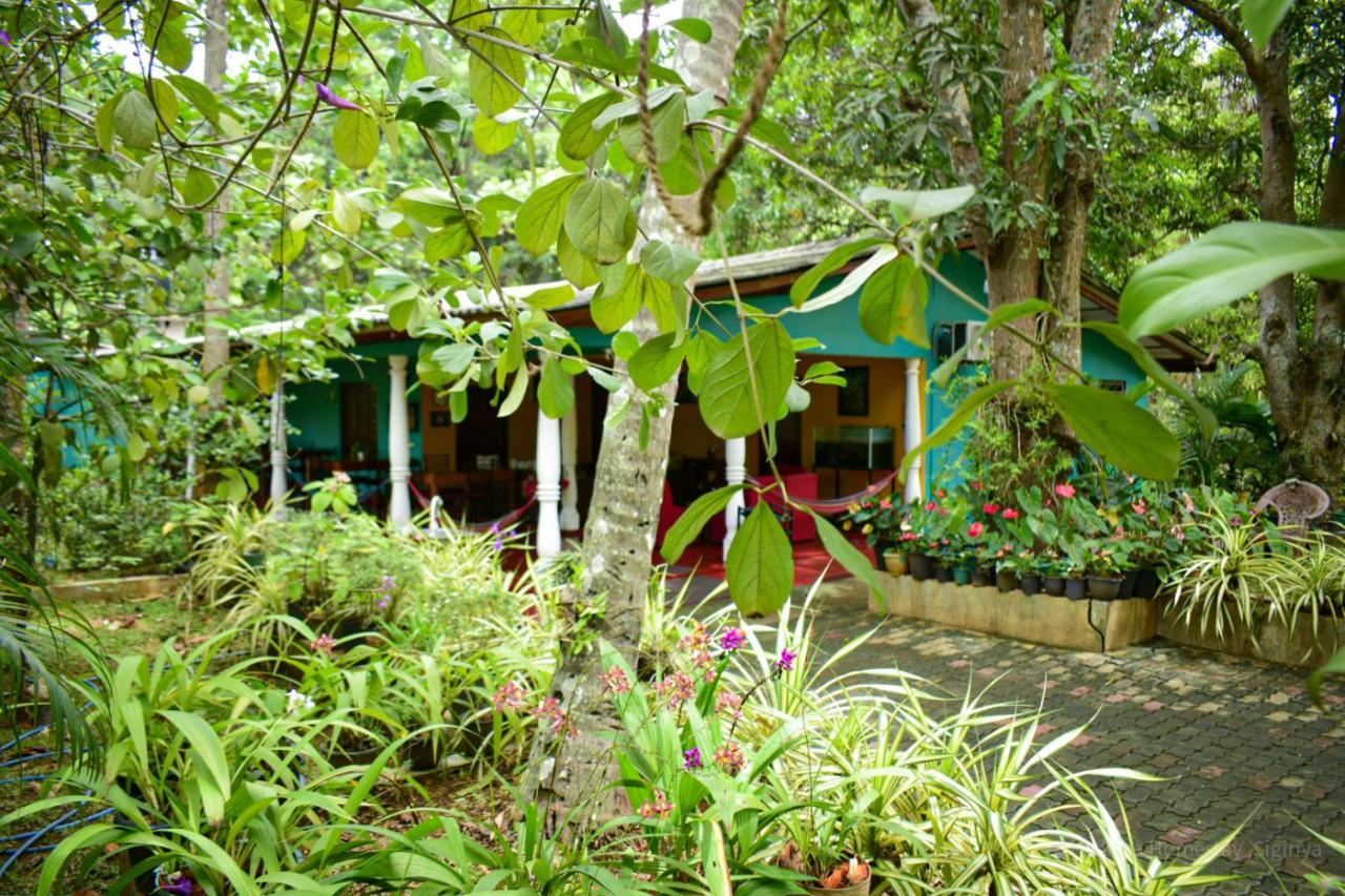 Palitha Homestay Sigiriya Buitenkant foto