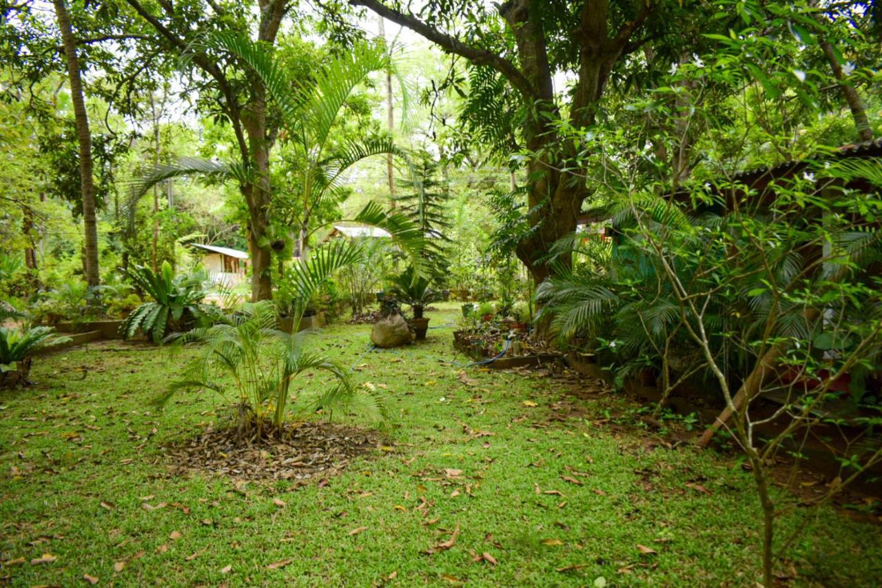 Palitha Homestay Sigiriya Buitenkant foto