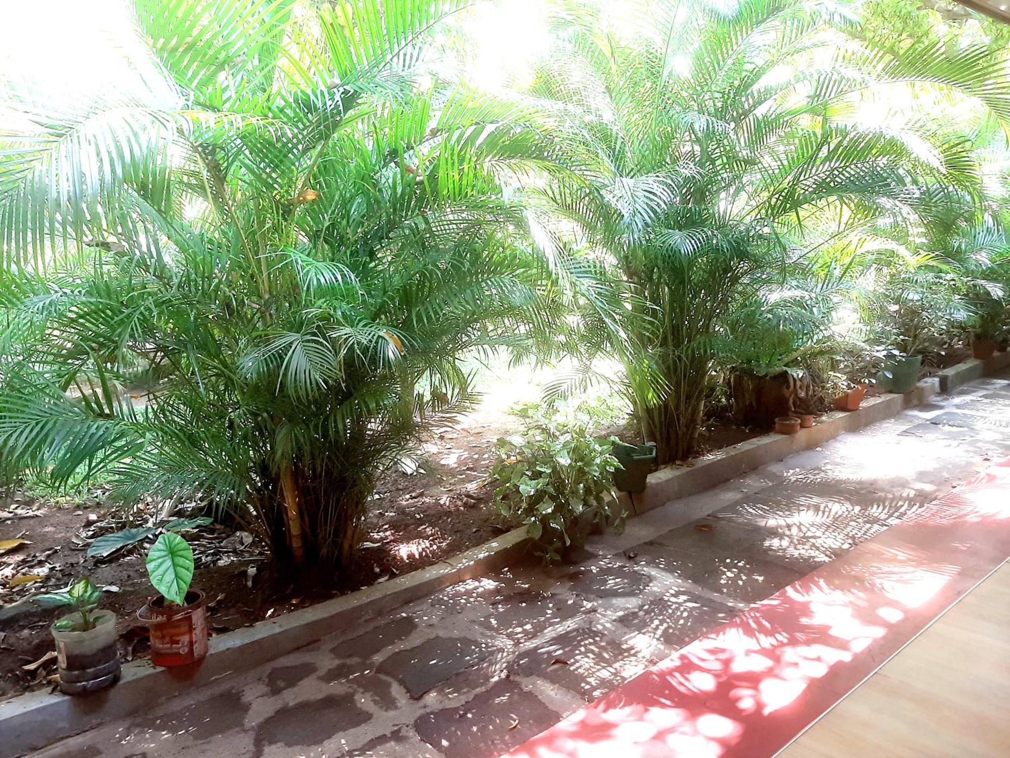 Palitha Homestay Sigiriya Buitenkant foto