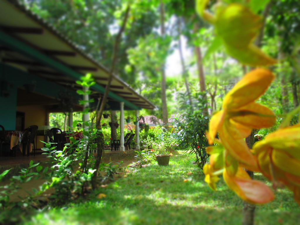 Palitha Homestay Sigiriya Buitenkant foto