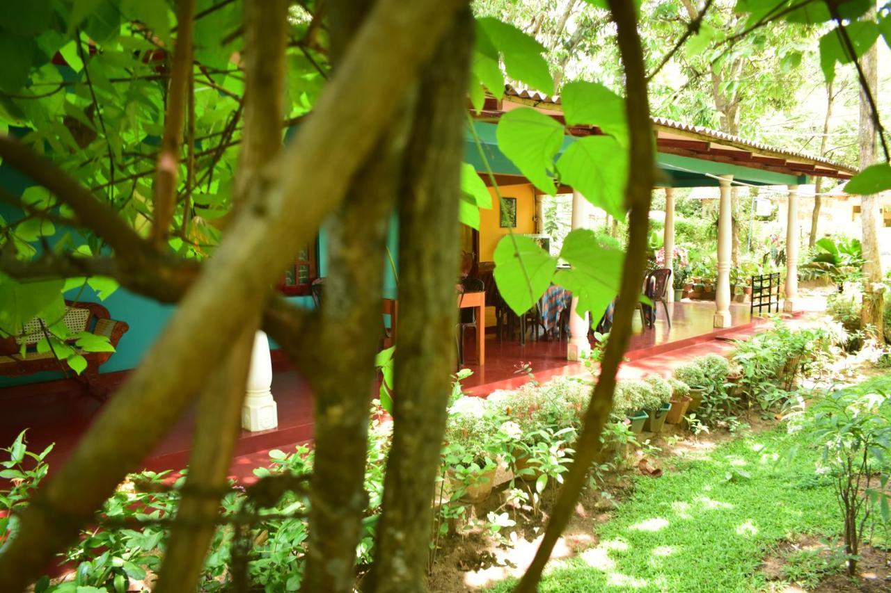 Palitha Homestay Sigiriya Buitenkant foto