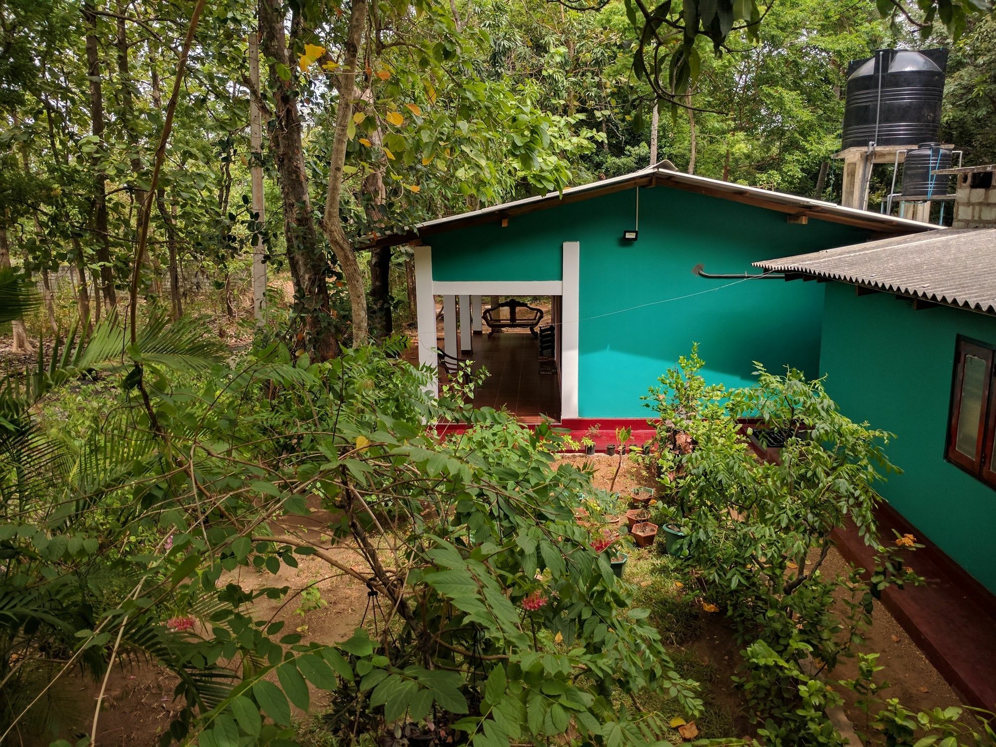 Palitha Homestay Sigiriya Buitenkant foto